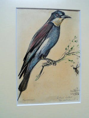 Buy Willem De Pauw - Gemengde Techniek - Vogels? Bid from 35!