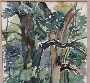 Jeanne Bieruma Oosting - Bomen kopen? Bied vanaf 95!