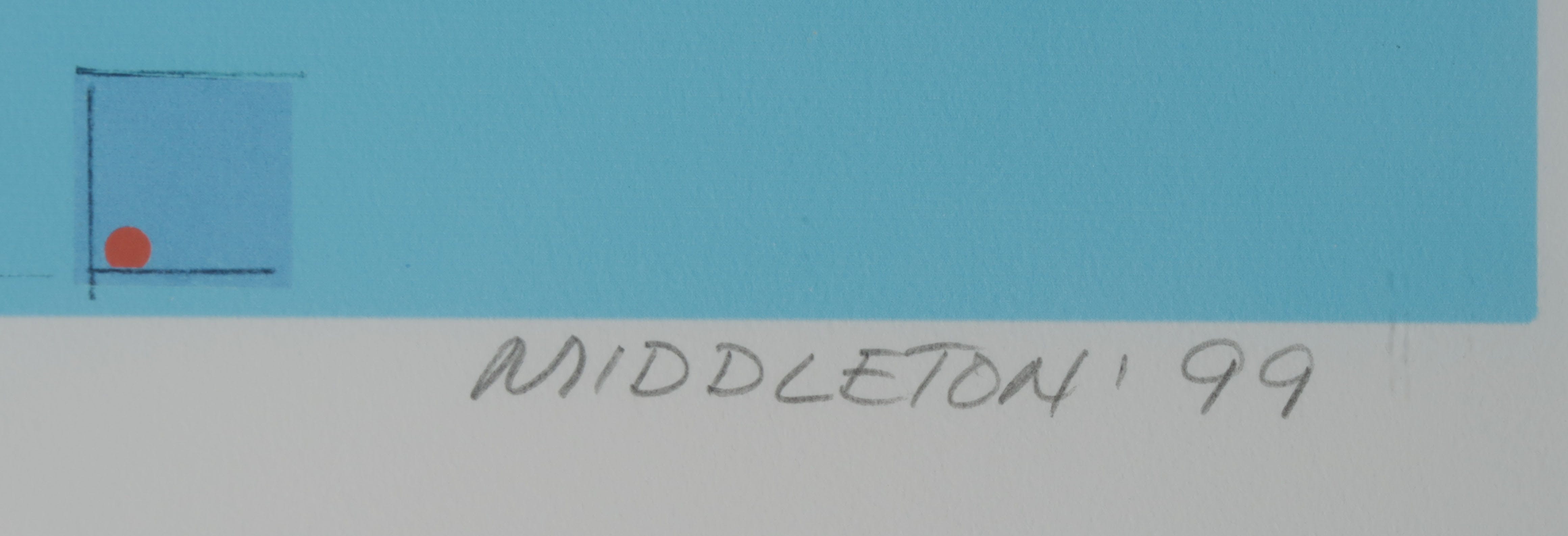 Sam Middleton - Zeefdruk, Harmonics - Ingelijst kopen? Bied vanaf 20!