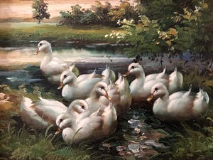 Niet of onleesbaar gesigneerd - Eendjes aan de waterkant kopen? Bied vanaf 10!