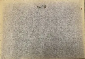 Harry Maas - Naakt kopen? Bied vanaf 50!