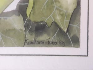 Greetje Korne - Faber - Zonder titel. kopen? Bied vanaf 49!