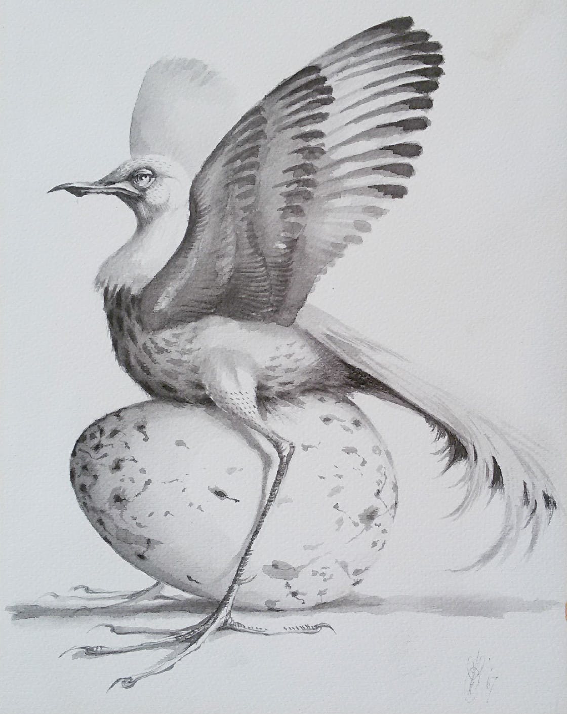 Peter Vos - Struisvogeltjeachtige, tekening kopen? Bied vanaf 325!