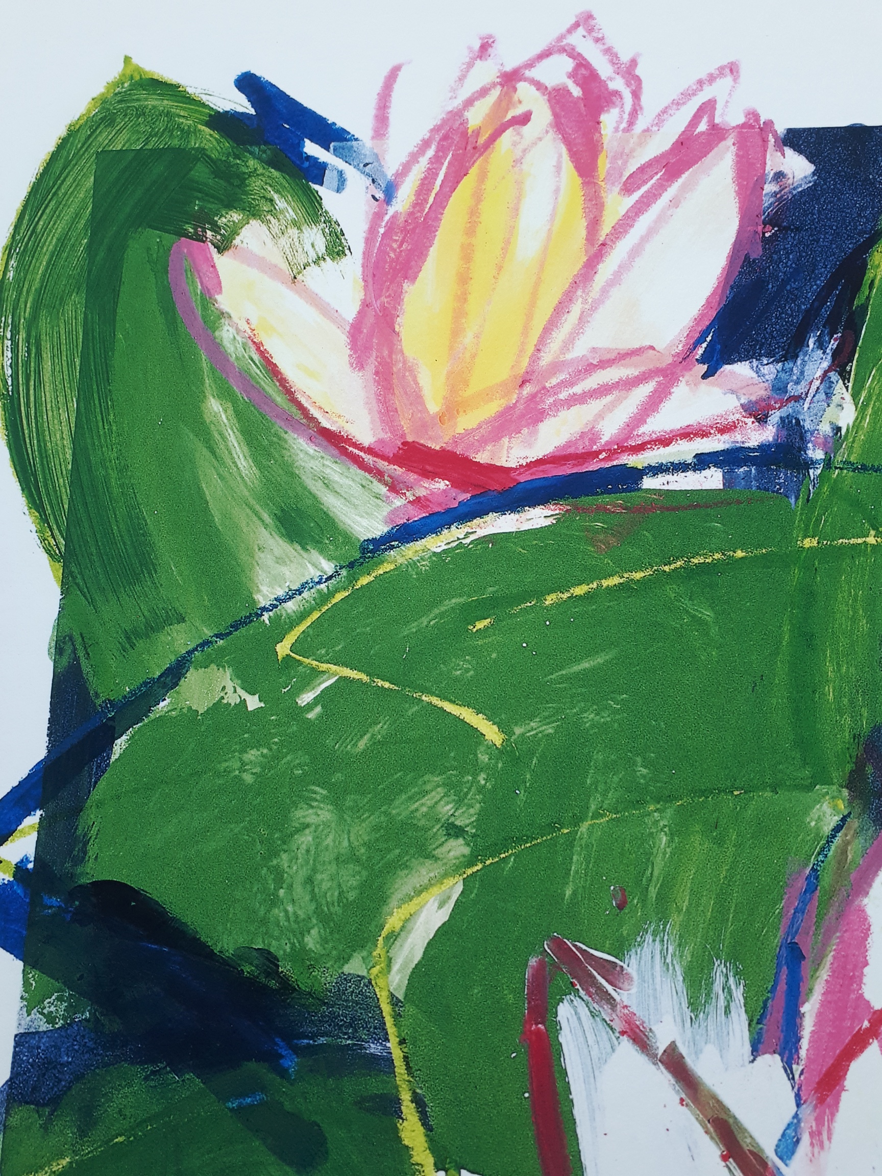 Ellen Meuwese - Waterlelies kopen? Bied vanaf 5!