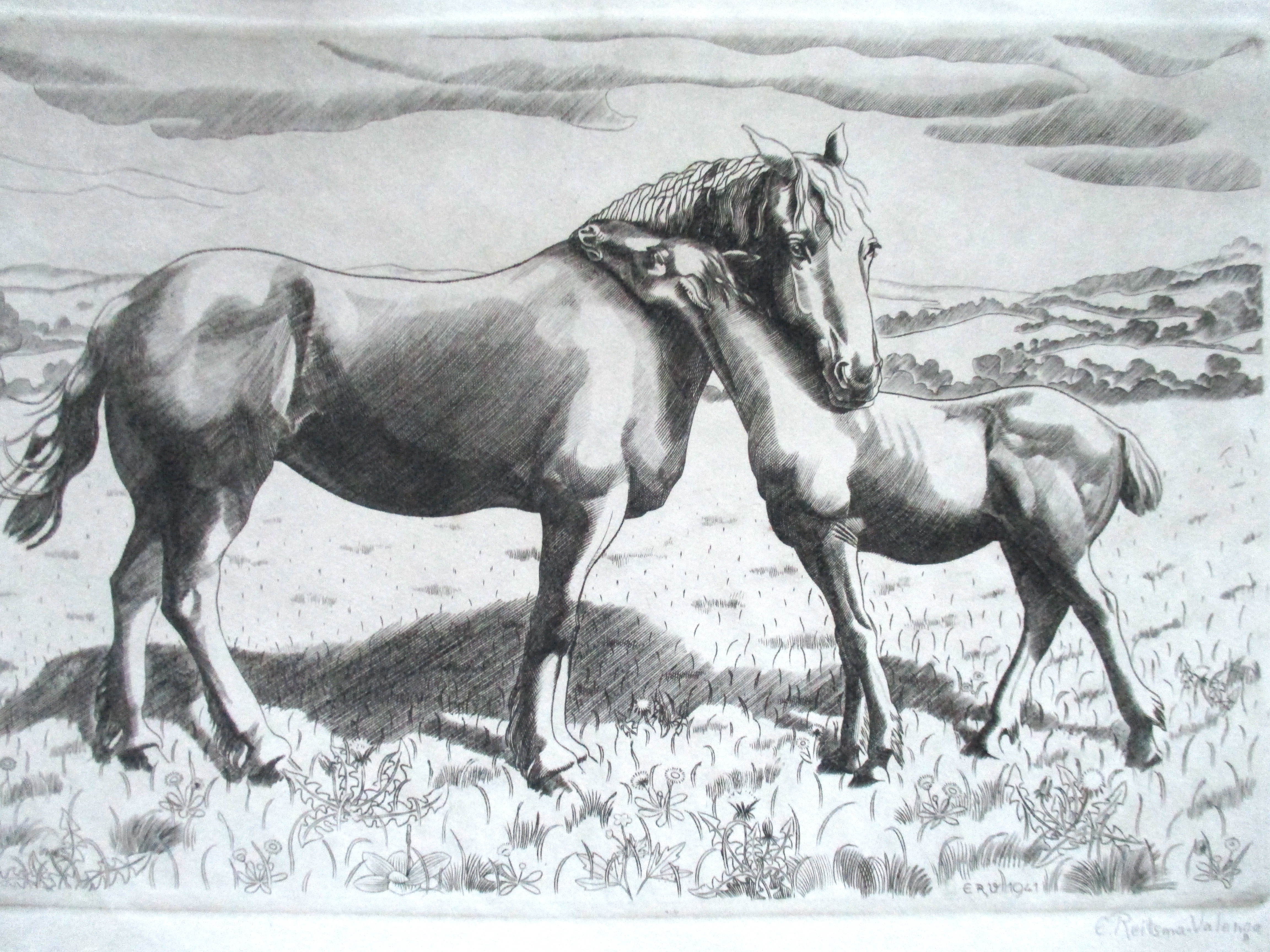 Engelien Reitsma-Valenca - Ets paarden verkocht voor € 40!