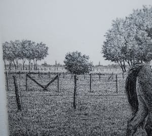 Wim van der Meij - 2 paarden, 1991 - ets kopen? Bied vanaf 10!