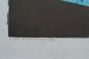 Joost Minnigh - Tropisch zwembad kopen? Bied vanaf 85!