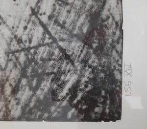 Rinne Mervel - Helikopter Kever kopen? Bied vanaf 50!