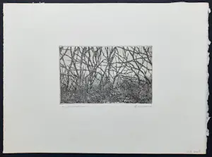 Willem Minderman - Duindoorn, ets kopen? Bied vanaf 45!