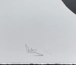 Arty Grimm - Cees Nooteboom - Tekens tegen het wit, tekst + zeefdruk kopen? Bied vanaf 75!