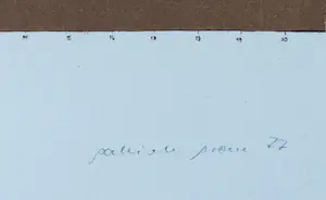 Gabriele Grosse - Cicada Hieroglyphica im Anflug kopen? Bied vanaf 20!