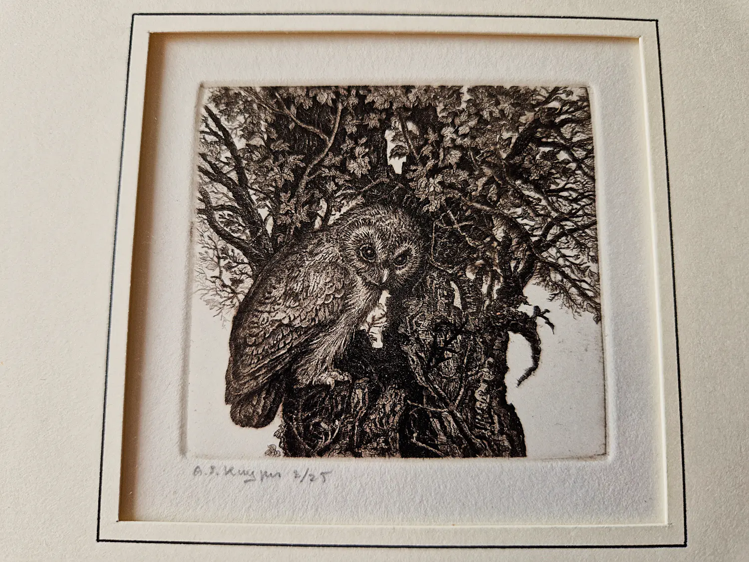 Anneke Kuyper (1942)