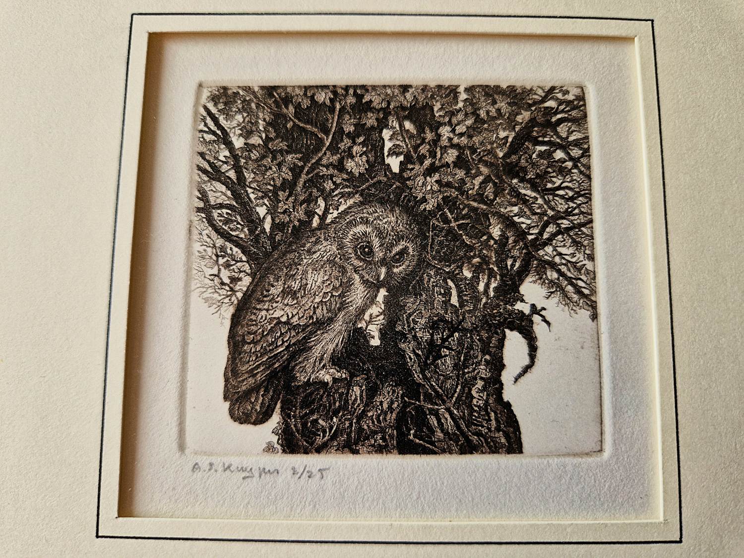 Anneke Kuyper - Knappe realistische droge naald Ets "steenuiltje" zeer kleine oplage (25) kopen? Bied vanaf 37!