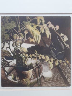 Ton de Kruyk - "de poes" . kopen? Bied vanaf 60!