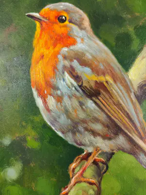 Giovanni Parlato - Pettirosso kopen? Bied vanaf 150!