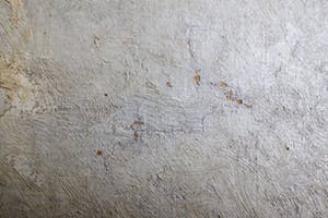 Clemence Pruijs van der Hoeven - Landschap met boerenschuur kopen? Bied vanaf 125!