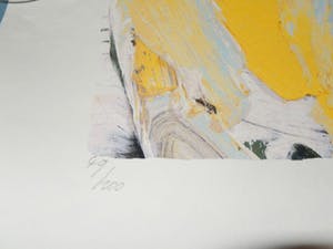 JAS - Kleuren zeefdruk BELLONA Hand gesigneerd kopen? Bied vanaf 45!