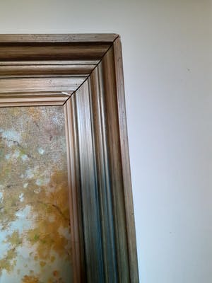 Jan Harm Oostendorp - Weg met bomen kopen? Bied vanaf 100!