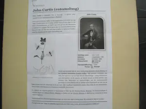 John Curtis - "Yellow-margined Sawfly" kopen? Bied vanaf 1!