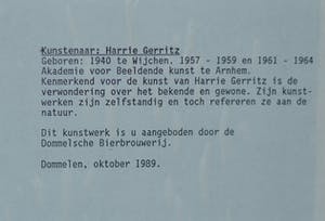 Harrie Gerritz - Voor Dommelsch, kleine oplage kopen? Bied vanaf 25!