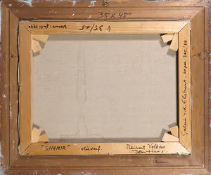 Meinert Volkers - Olieverf op doek, Shamir - Ingelijst kopen? Bied vanaf 1!