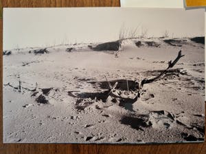 Mieke Bijleveld - set van 6 foto's kopen? Bied vanaf 25!