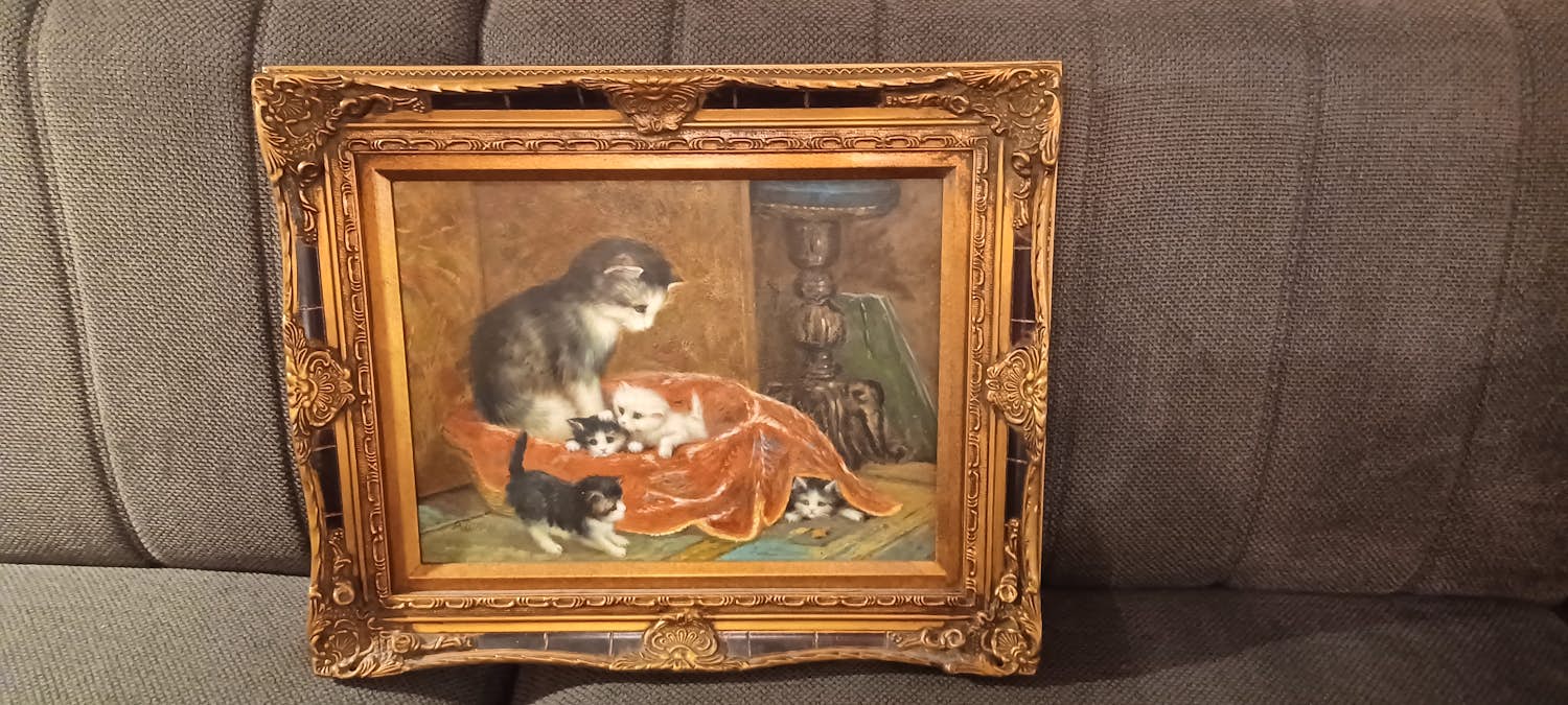 Armin Stern - Katze mit Kätzchen kopen? Bied vanaf 100!