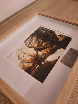 Christo - Wrapped Trees (inclusief origineel stukje stof) kopen? Bied vanaf 100!