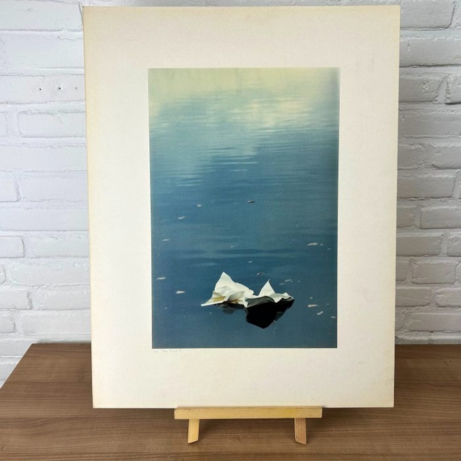 Toon Roest - Paper Swan kopen? Bied vanaf 25!