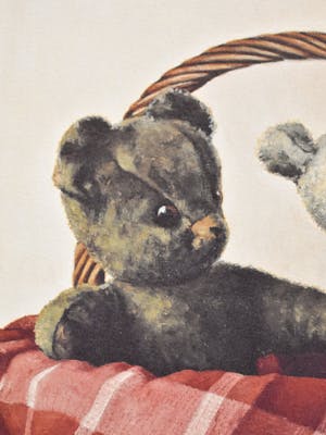 Marina Radius - Beren in een mandje kopen? Bied vanaf 1!