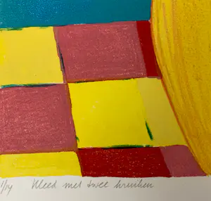 Fenneke van der Elst - Kleed met twee kruiken kopen? Bied vanaf 35!