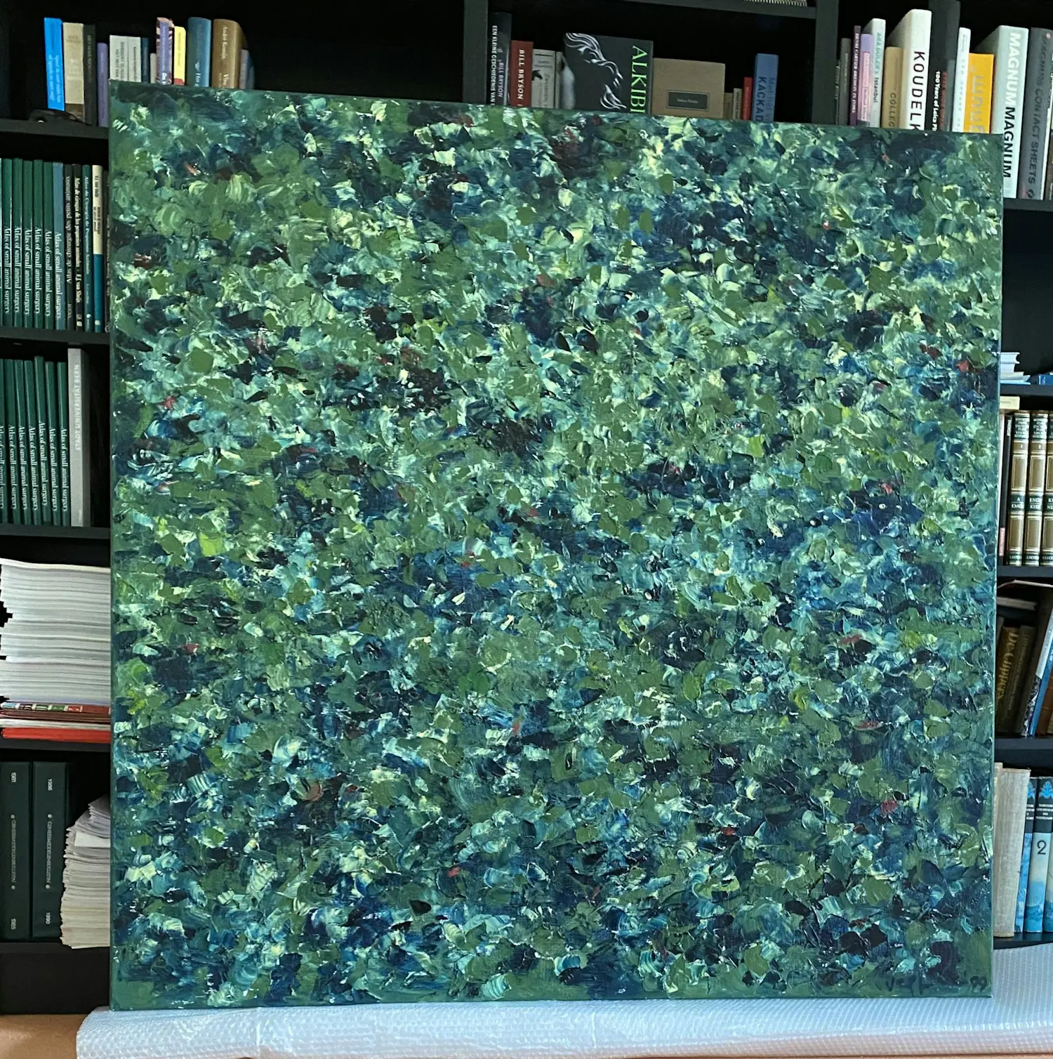 Hennie van der Vegt (1953)