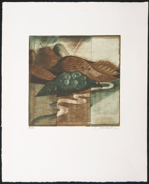 Brigitte Coudrain - Kleurenets, Petit olege kopen? Bied vanaf 1!