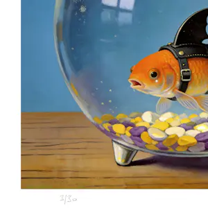 Mr Strange - Terreur in de pot kopen? Bied vanaf 80!