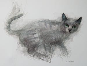 Niet of onleesbaar gesigneerd - Mads Stage - 4 Studies of Cats kopen? Bied vanaf 1!