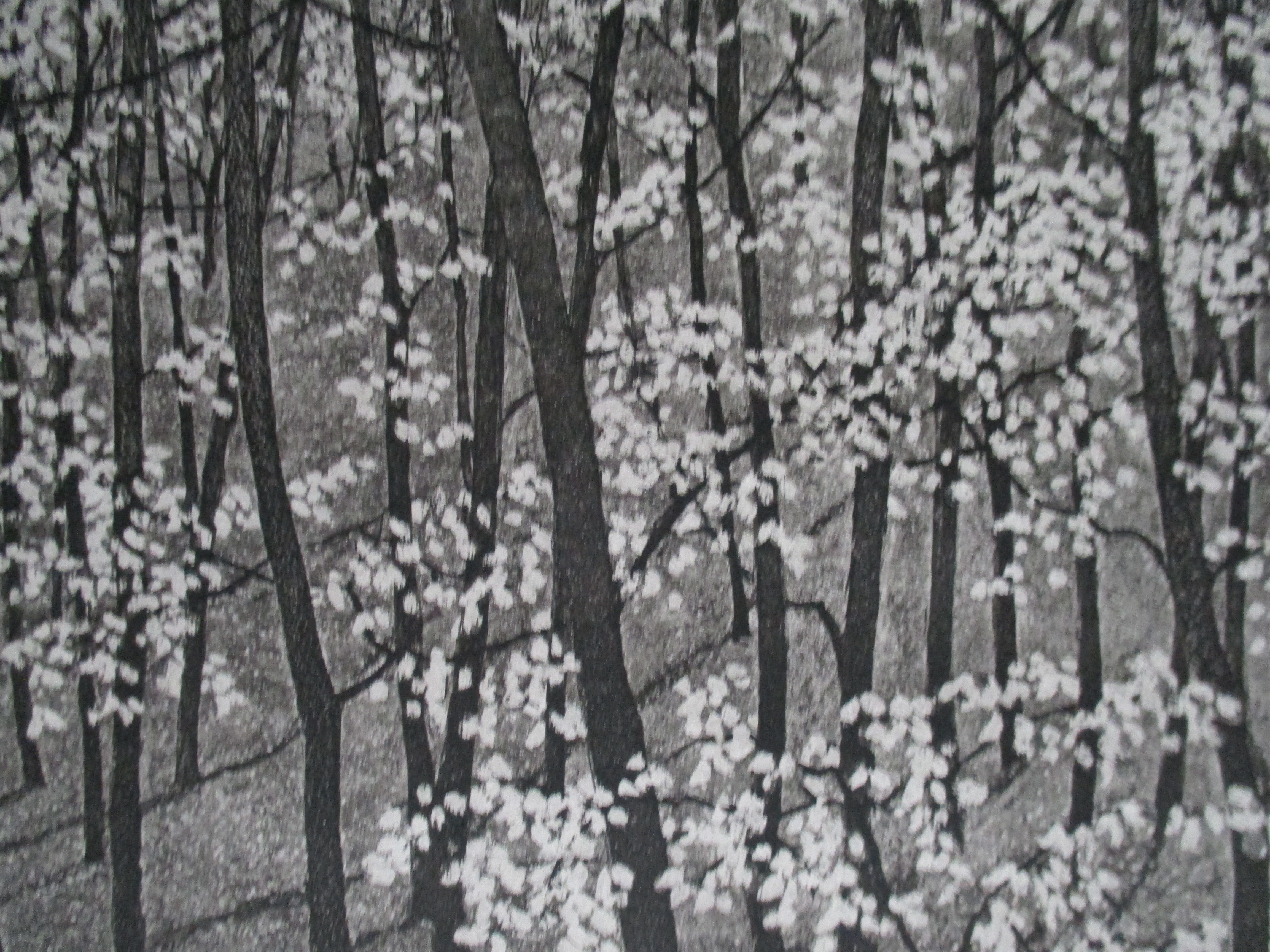 Paulien Wittenrood - Ets "Mariëndaal in het voorjaar" 1977 kopen? Bied vanaf 55!