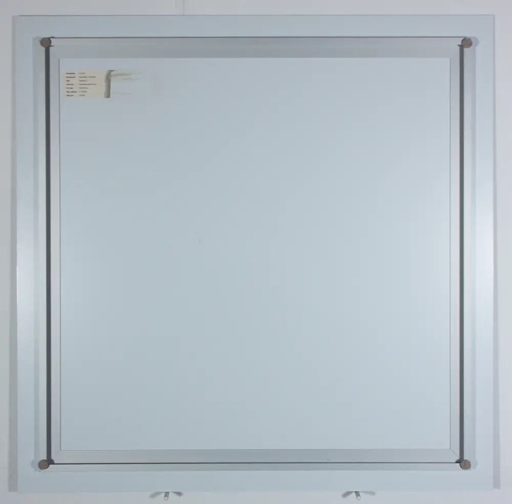 Elizabeth Alderliesten (1972)