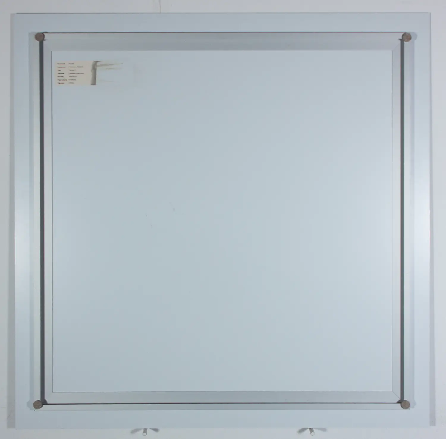 Elizabeth Alderliesten (1972)