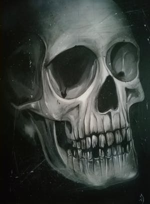 Niet of onleesbaar gesigneerd - Skull kopen? Bied vanaf 10!