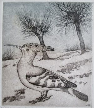 Niet of onleesbaar gesigneerd - Ets vogel in landschap, gesigneerd kopen? Bied vanaf 1!