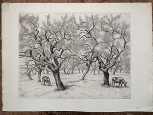 Dick van Luijn - Etsen (3x) - Natuur kopen? Bied vanaf 40!