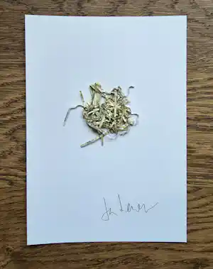 Jan Henderikse - Geshredderde Dollars - 2018 - 21 x 15 cm verkauft für € 60!