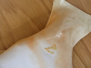 Brigitte Reuter - visvorm kopen? Bied vanaf 25!