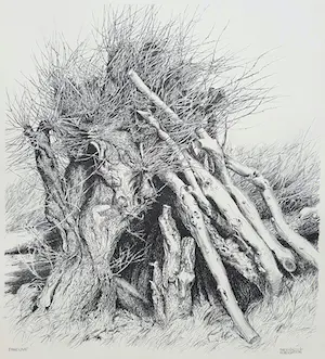 AcheterPatrick Creyghton - Wilg met boomstammen, litho? Enchérissez de 50!