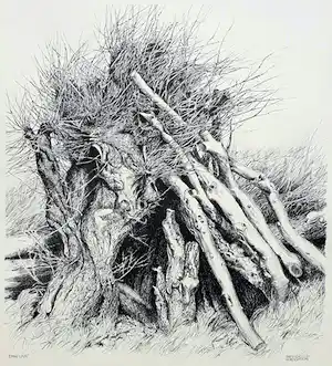 Patrick Creyghton - Wilg met boomstammen, litho verkauft für € 50!