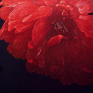 Hans Dolieslager - ingelijste zeefdruk: Dutch Glory II - 2001 (mooie houten lijst!) kopen? Bied vanaf 55!