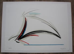 Peter van Drumpt - Litho - 1987 kopen? Bied vanaf 35!