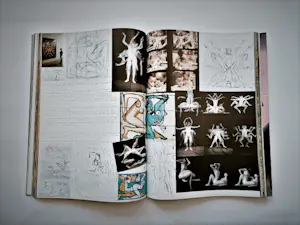 Lieve Prins - Groot en lijvig in 2004 verschenen fotoboek "Touch" -1e druk kopen? Bied vanaf 1!