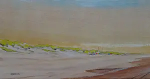 Franklin Meijer - Texel - Strand kopen? Bied vanaf 95!