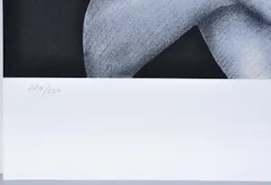 Jef van Tuerenhout - De Spiegel - Zeefdruk - Gesigneerd - 54x42 cm - 1977 kopen? Bied vanaf 120!